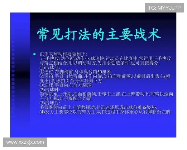 深入分析南京乒乓球队防守战术与技术特点的专业解读