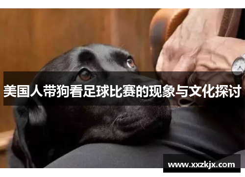 美国人带狗看足球比赛的现象与文化探讨